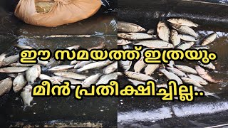 ഈ സമയതത ഇതരയ മൻ പരതകഷചചലല ...