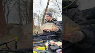 Geheimwaffe 😎 #angeln #fishing #feedern
