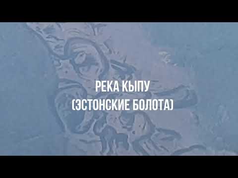 От Калининграда до Санкт-Петербурга за 11 минут. Обзор экскурсия и немного о борьбе с короновирусом