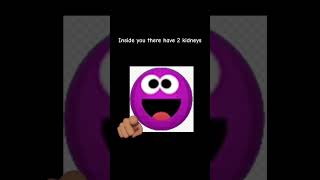 2 kidneys