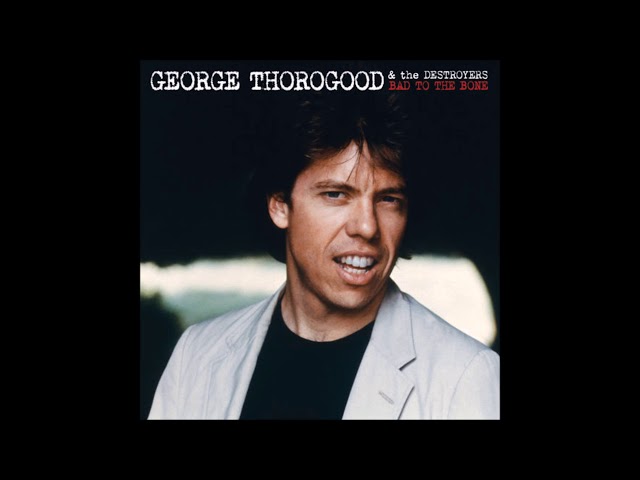 George Thorogood & The Destroyers - Blue Highway