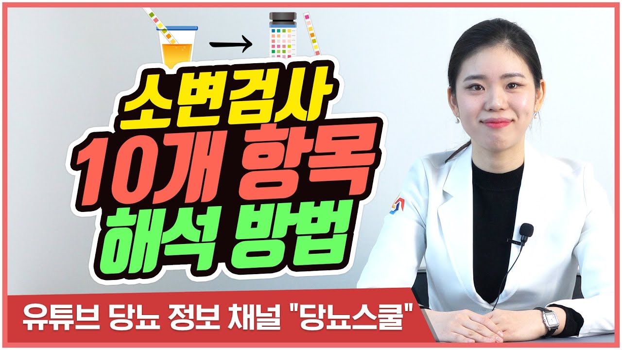 소변검사 스틱, 어떤 항목이 있을까? | 소변검사 결과 해석하는 방법 [당뇨스쿨]