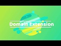 1  Domain Extenshion