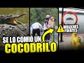 Esto pasó en Tampico: visitante es alcanzado por un cocodrilo | Noticas de última hora