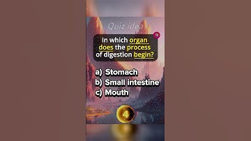 Quiz voor Amerikanen Reageer hoeveel heb je er gekregen?🧠🤓👍 #quiz #shorts #youtubeshorts #shortvideo