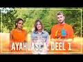 Ayahuasca Special deel 1: de weg naar Ayahuasca | Drugslab