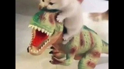 Rust Highlight #26 | LooseScrew