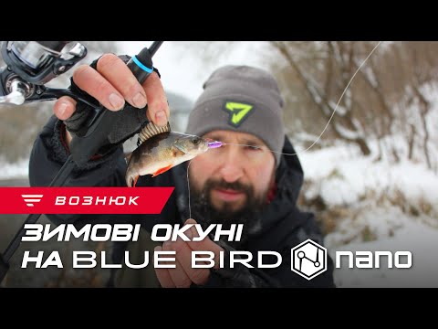 How to fish with spinning in winter? Favorite Blue Bird Nano in urban conditions