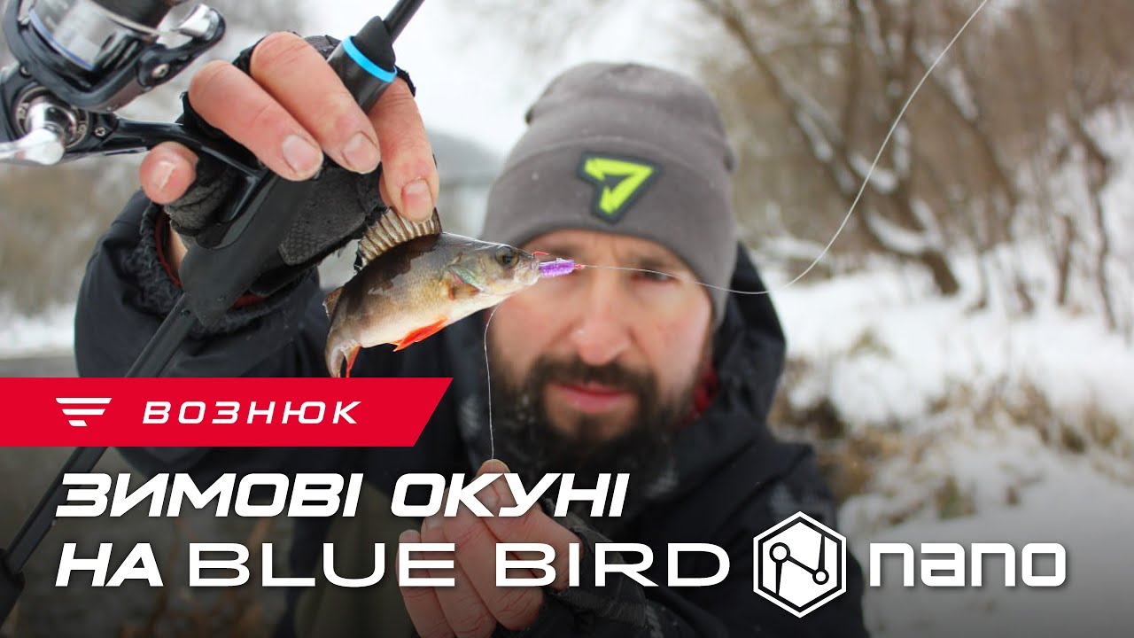 Як ловити спінінгом взимку? Favorite Blue Bird Nano у міських умовах