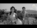 Tumhi Mere Meet Ho | Pyase Panchi (1961) | Mehmood | Ameeta | Jeevan| Hemant Kumar, Suman Kalyanpur Mp3 Song