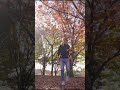 【紅葉】逆再生の世界