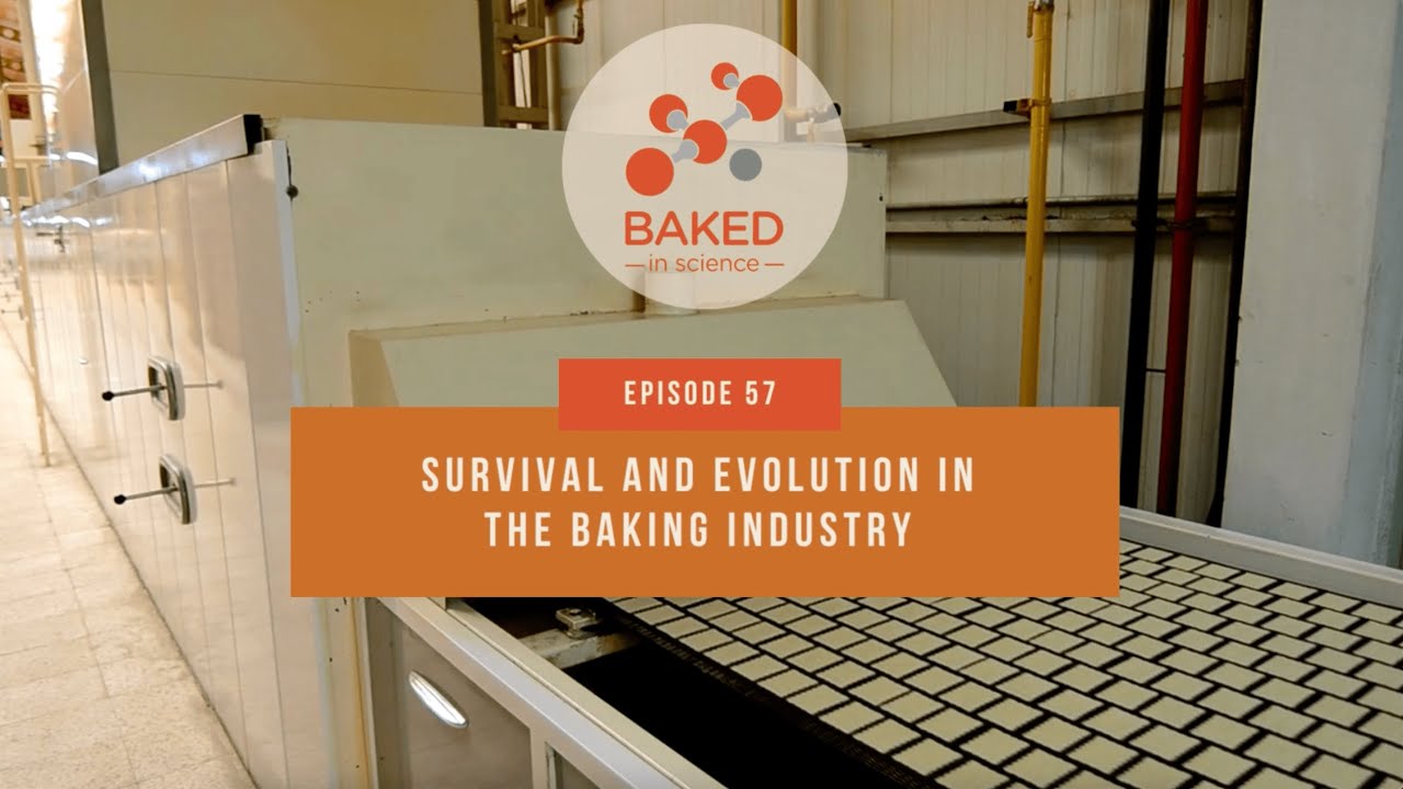 Survival and Evolution in the Baking Industry Episode 57 BAKED in