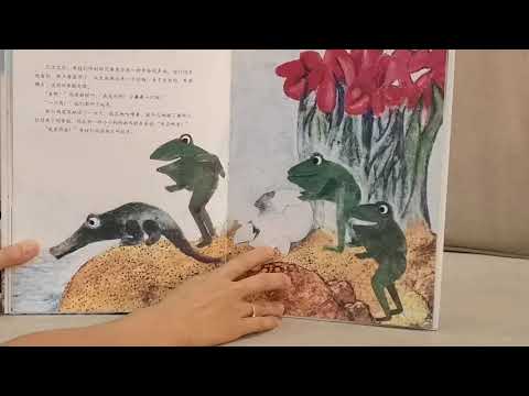 VID 一只奇特的蛋 204534