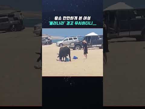 황소 만만하게 보고 주변 대피 경고 무시하던 여성 결국... thumbnail