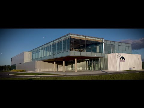 Rediscover Panthera Dental | Corporate Video