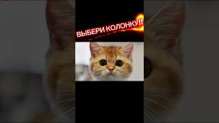 ВЫБЕРИ КОЛОНКУ!!! #shorts