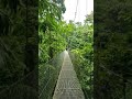 Monteverde cloud forest biological reserve costa rica
