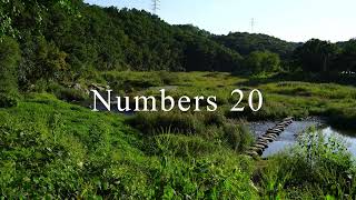 The Book of Numbers Chapter 20 - New King James Version (NKJV) - Theatrical Audio Bible
