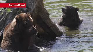 Why we travel to Alaska - Regent Seven Seas Cruises | Barrhead Travel
