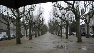 DSCF1531.avi