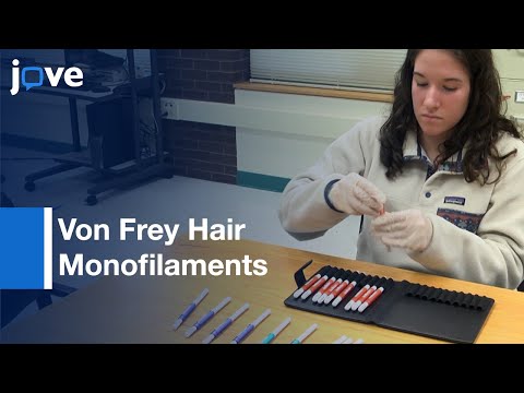 Midline Lingual Point-Pressure Somatosensation: Von Frey Hair Monofilaments l Protocol Preview