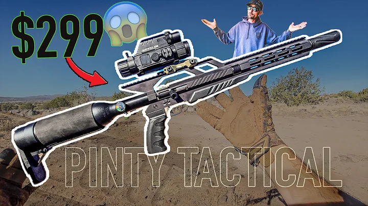 Shockingly CHEAP Airgun! the PINTY .22 cal PCP