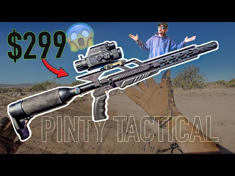 Shockingly CHEAP Airgun! the PINTY .22 cal PCP