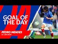 Goal of the day  pedro mendes  04 jan 2009