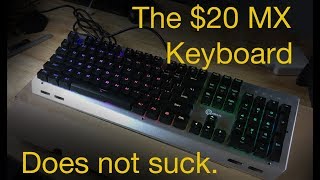Is the cheapest mechanical RGB gaming keyboard on the market any good? Yes, very!
