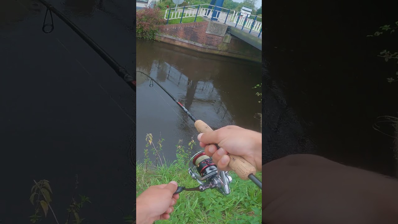 Perch fishing With Tiny Lure!! 
