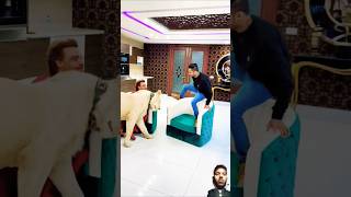 Khandani Daulat Dua Mein Udaye love viral liontiger wildcats
