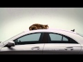 Mercedesbenz cla tv commercial cat