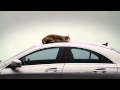 Mercedes Benz CLA Tv Commercial Cat