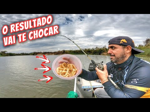 NOVA ISCA MATADORA que conheci! Foi uma LOUCURA de tanto CURIMBA BRUTO na pescaria no Rio Mogi 💥🐟