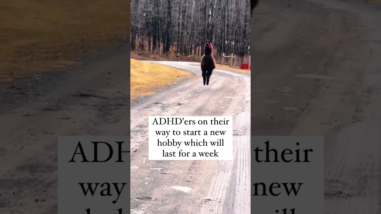 The horrible ADHD hobby cycle 🫣😭😵 