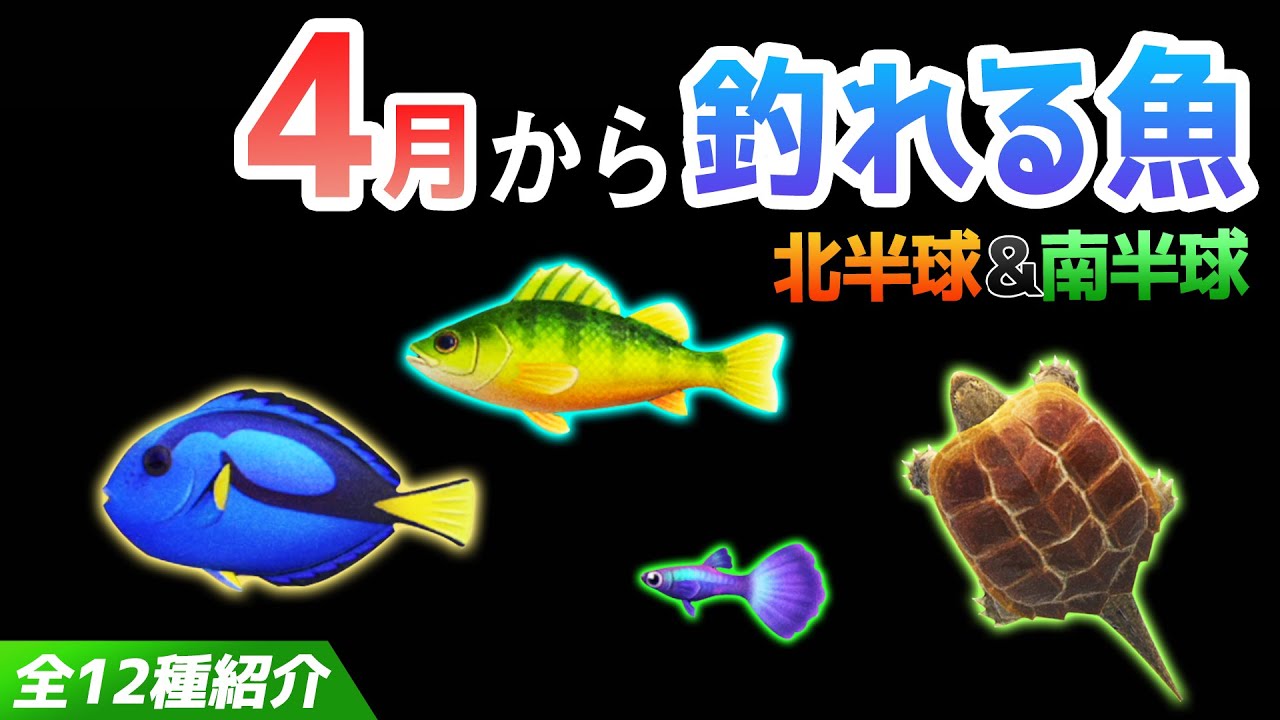 あつ森 4月から釣れる魚を全て紹介 魚影や出現時間 場所 値段 釣り方のコツも解説 カミツキガメやグッピー ナンヨウハギなどレアな魚 が登場 あつまれどうぶつの森 4月の魚図鑑コンプリート Youtube