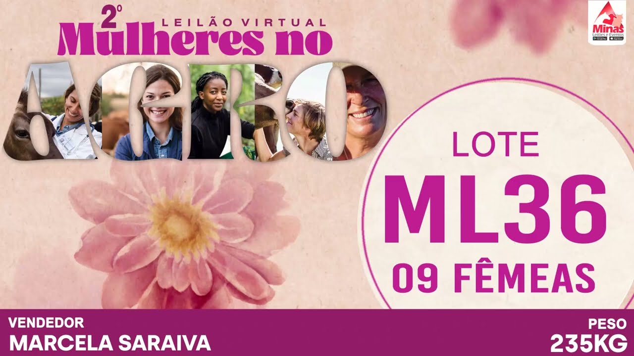 LOTE ML36 - 09 Fêmeas - 235 Kg