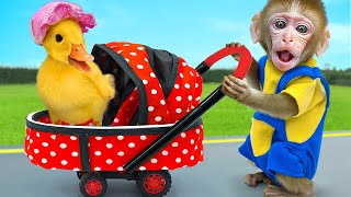 KiKi Monkey try taking care of cute Duckling challenge and go shopping M\&M Candy | KUDO ANIMAL KIKI