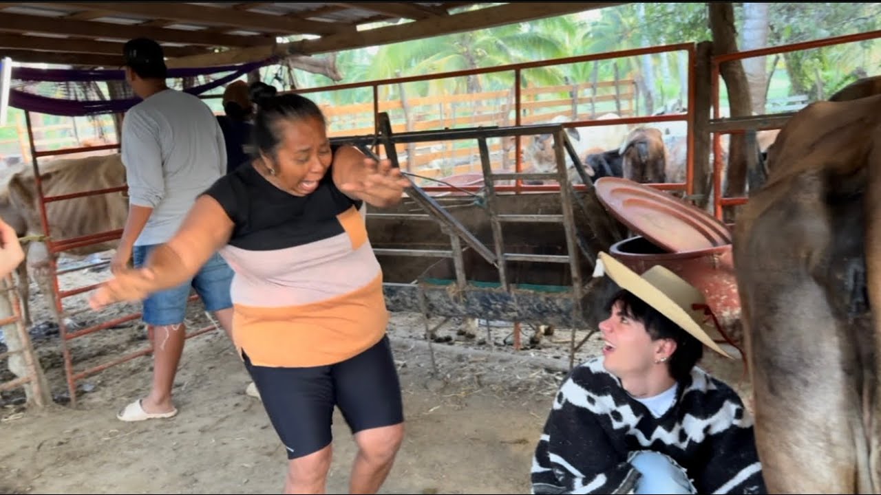 LLEVAMOS A CASLO A ORDEÑAR Y MIREN TODO LO QUE LE PASÓ 