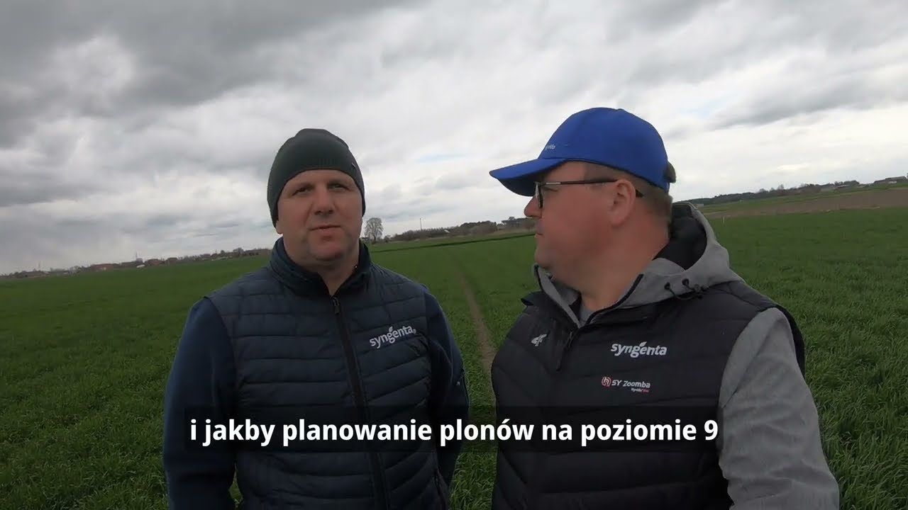 Odwiedzamy plantację SY Zoomba - jedyny jęczmień ozimy z odpornością na wirusa żółtej karłowatości
