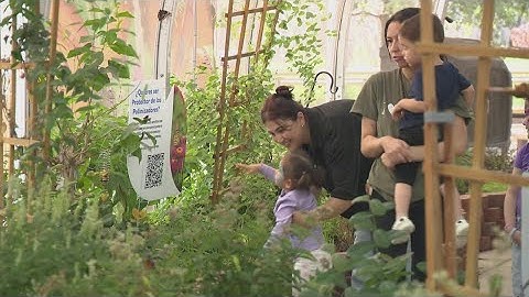 Dallas Zoo launches Flutterfest to celebrate monarch butterfly migration