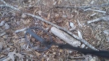 Setting salt balance on Tarsacci 8000