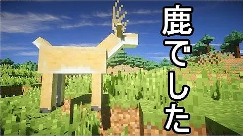 赤髪動物園総集編