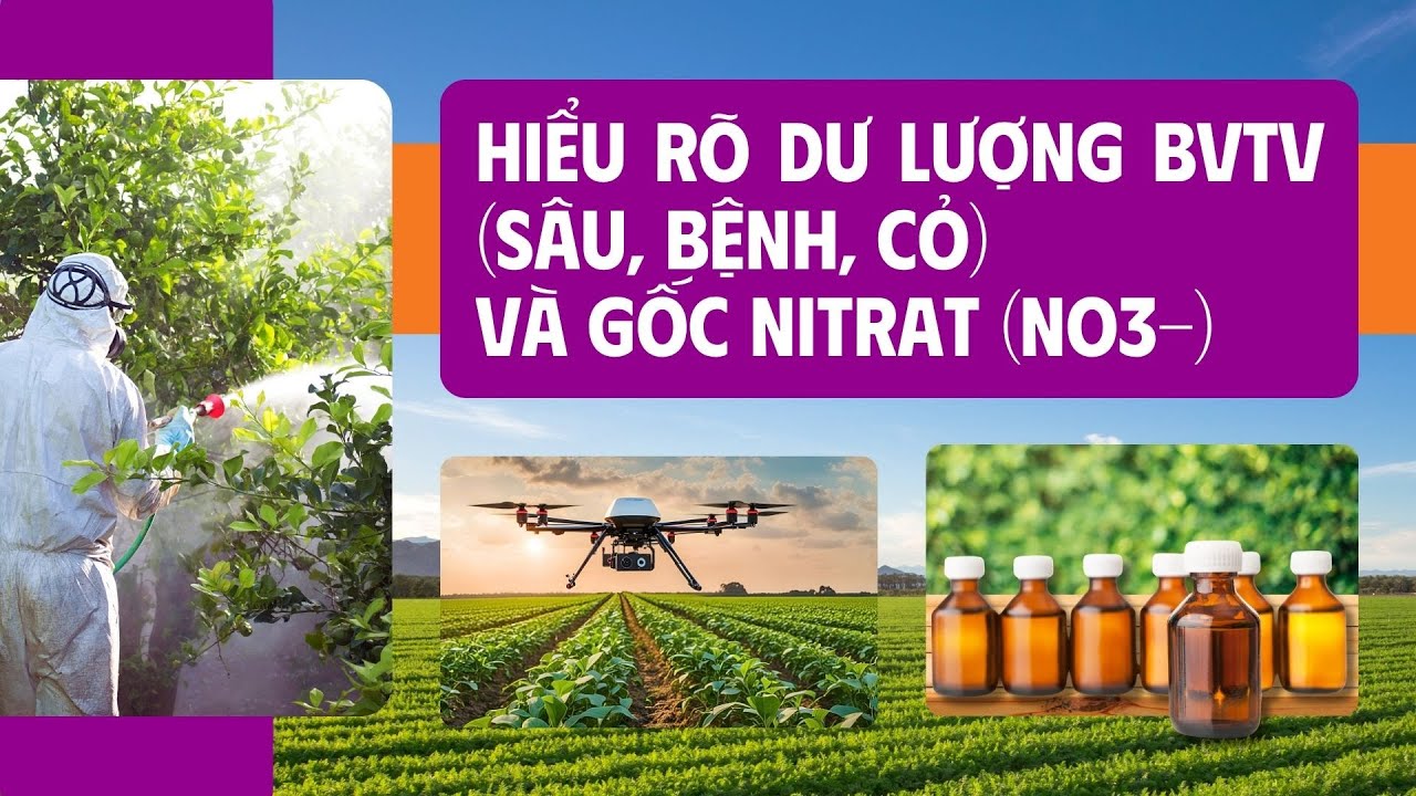 Hiểu Rõ Dư Lượng BVTV (Sâu, Bệnh, Cỏ) và Gốc Nitrat (NO3-) | Phân Bón 