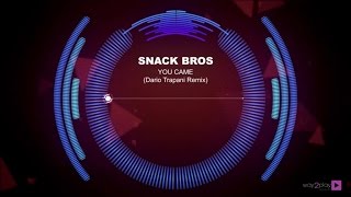 Snack Bros - You Came ( Dario Trapani Remix )