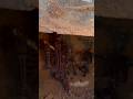 Strange treasure hunting by metal detector #treasure #treasurehunt