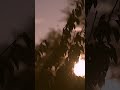Die letzten Sonnenstrahlen konnte ich noch einfangen! #sun #timelapse #sunrise #winter #2026 #viral