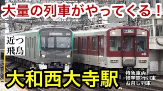 【カオスな駅】近鉄の大和西大寺駅で見られる列車を徹底紹介！迫力ある同時入線,ブツ8快急連結シーン,お召し列車の通過,Kintetsu Yamato-saidaiji station.