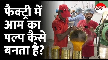 How Mango pulp made in Factory | Mango Pulp Processing Plant | alphonso mango | Inside Factory Video