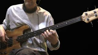 Leitnerjoe  Bass Cover 'Aga of the Ladies' (Hellborg, Lane, Selvaganesh) Wal Bass